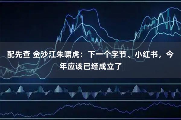 配先查 金沙江朱啸虎：下一个字节、小红书，今年应该已经成立了