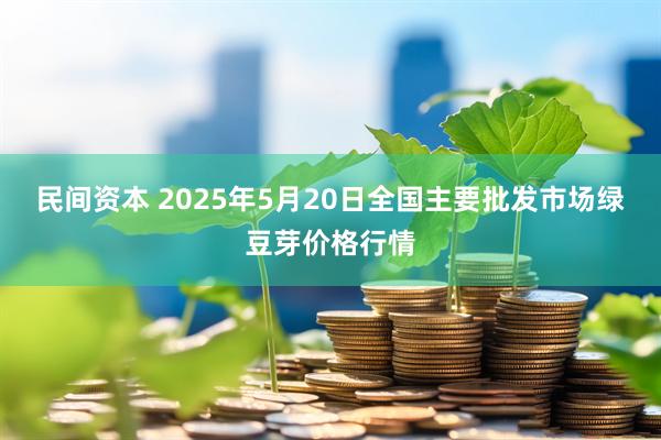 民间资本 2025年5月20日全国主要批发市场绿豆芽价格行情