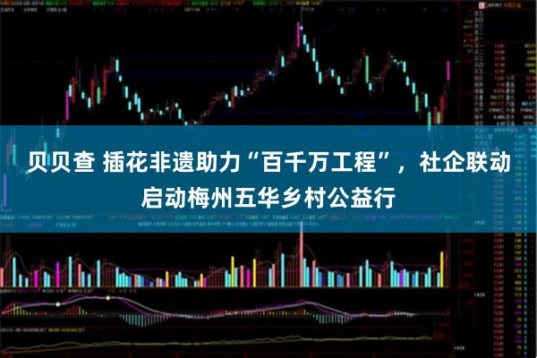 贝贝查 插花非遗助力“百千万工程”，社企联动启动梅州五华乡村公益行